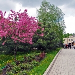 Парк на территории больницы Вишневского, Современные, Достопримечательности, Цветные