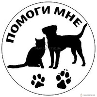 ~Помощь бездомным животным Донецка~